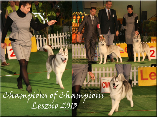 CHAMPIONS of CHAMPIONS Leszno 2013