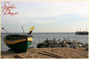 Sachem�s Dream
